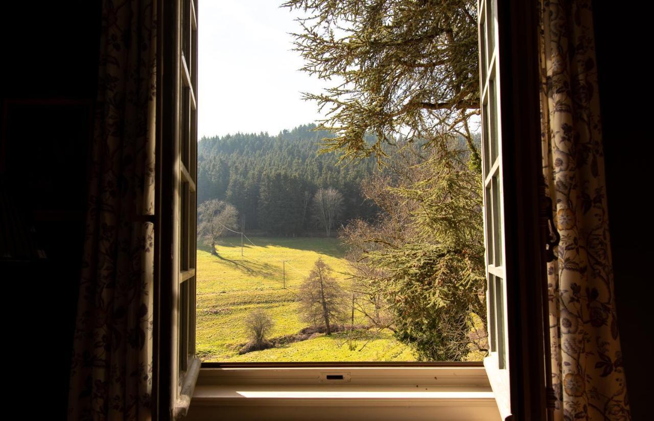 Chateau De Pramenoux Lamure-sur-Azergues Zewnętrze zdjęcie